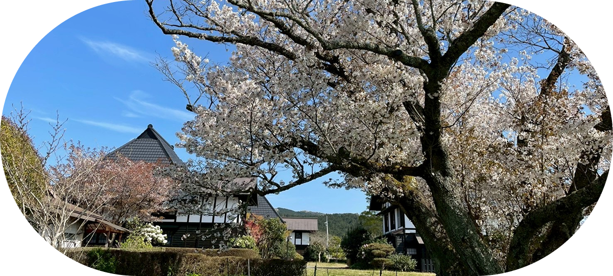 大仁瑞泉郷の写真