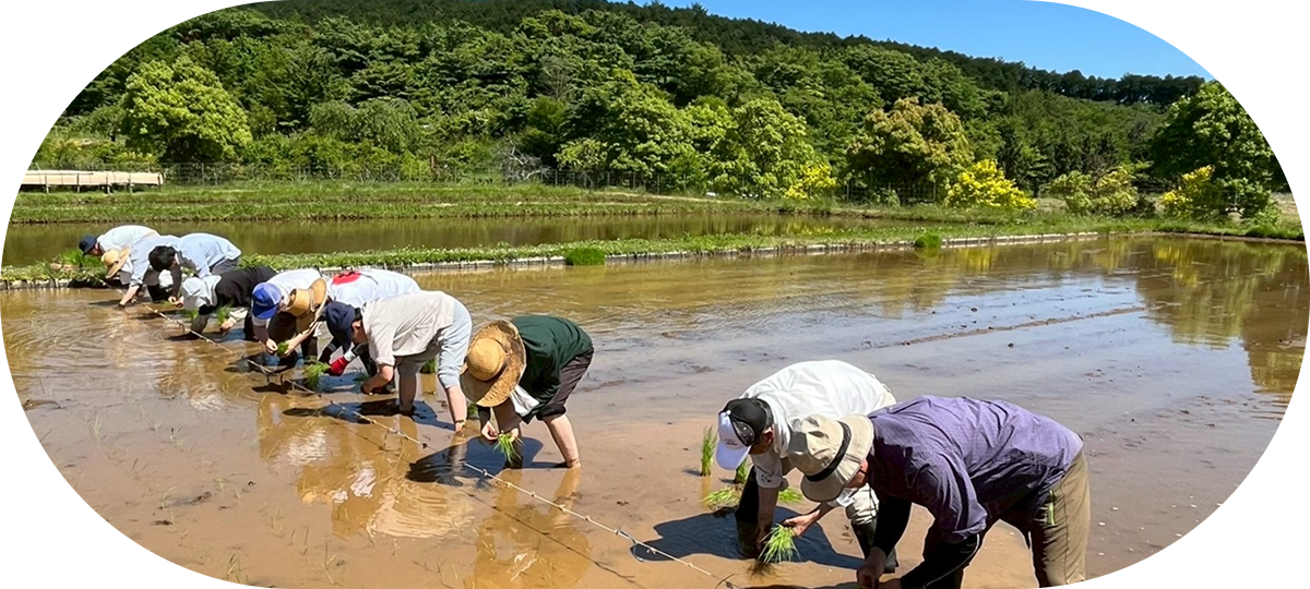大仁瑞泉郷の写真